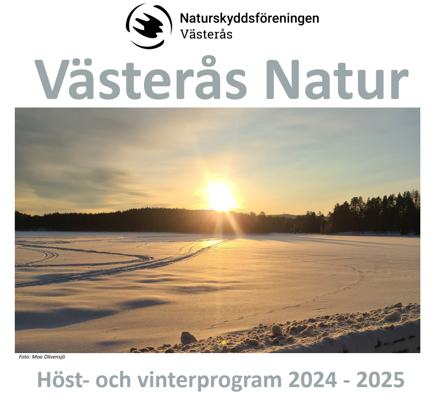 Höst- och vinterprogram 2024